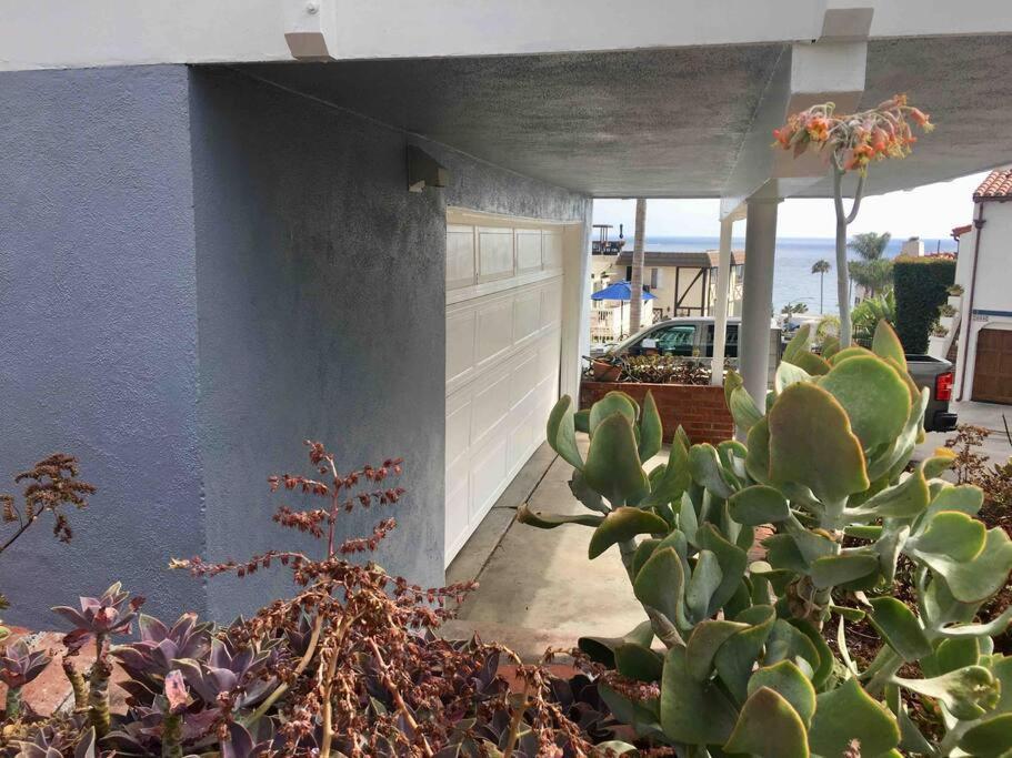 Blue Whale Inn San Clemente Jewel Unit D מראה חיצוני תמונה